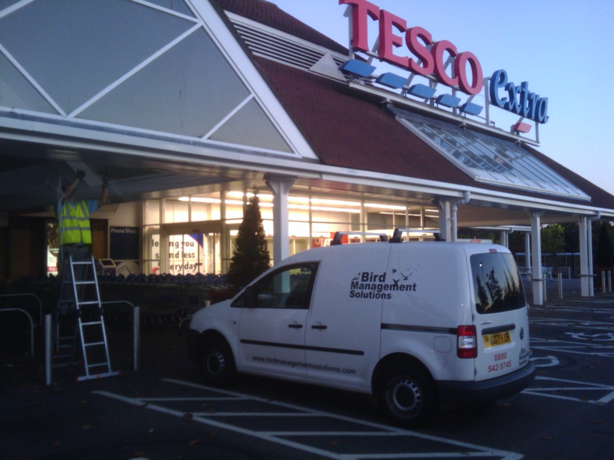 Pigeon netting at a Tesco Extra store in Hayes, Middlesex. 