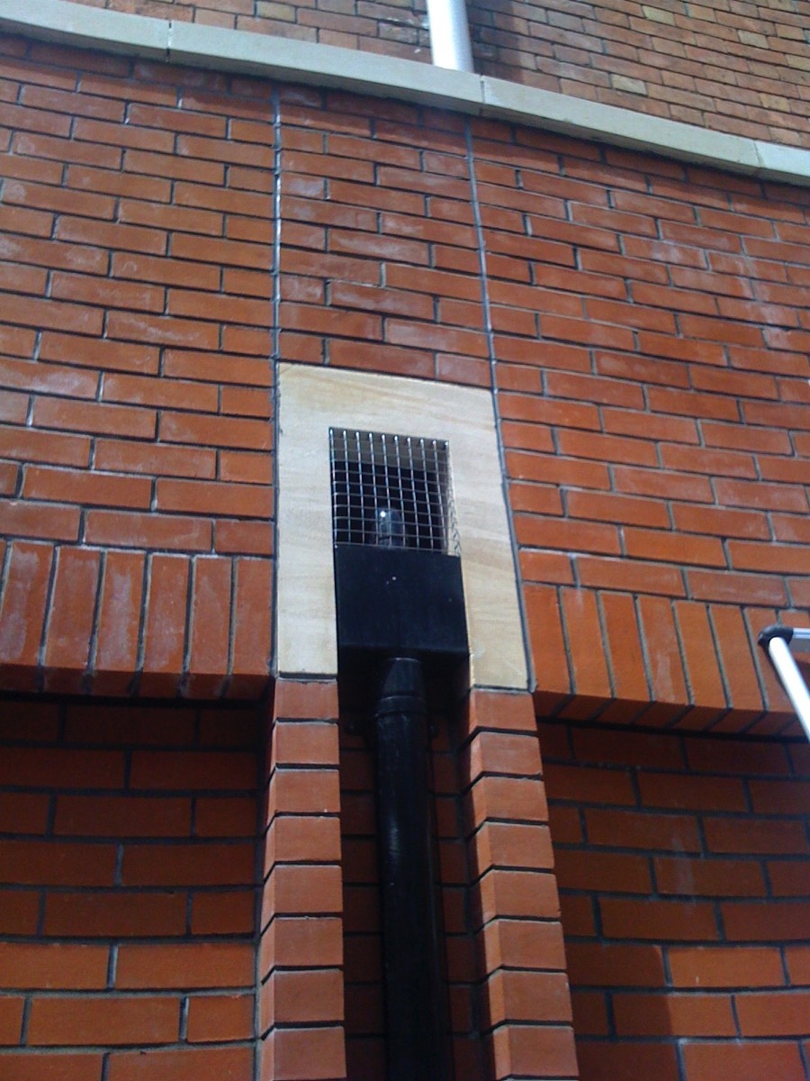 Stainless steel mesh was installed to prevent pigeons from nesting in these rainwater hoppers at Swindon Library. 