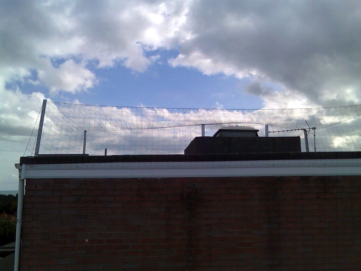 Netting to prevent Herring Gulls nesting on the top of this lift housing in Poole. 