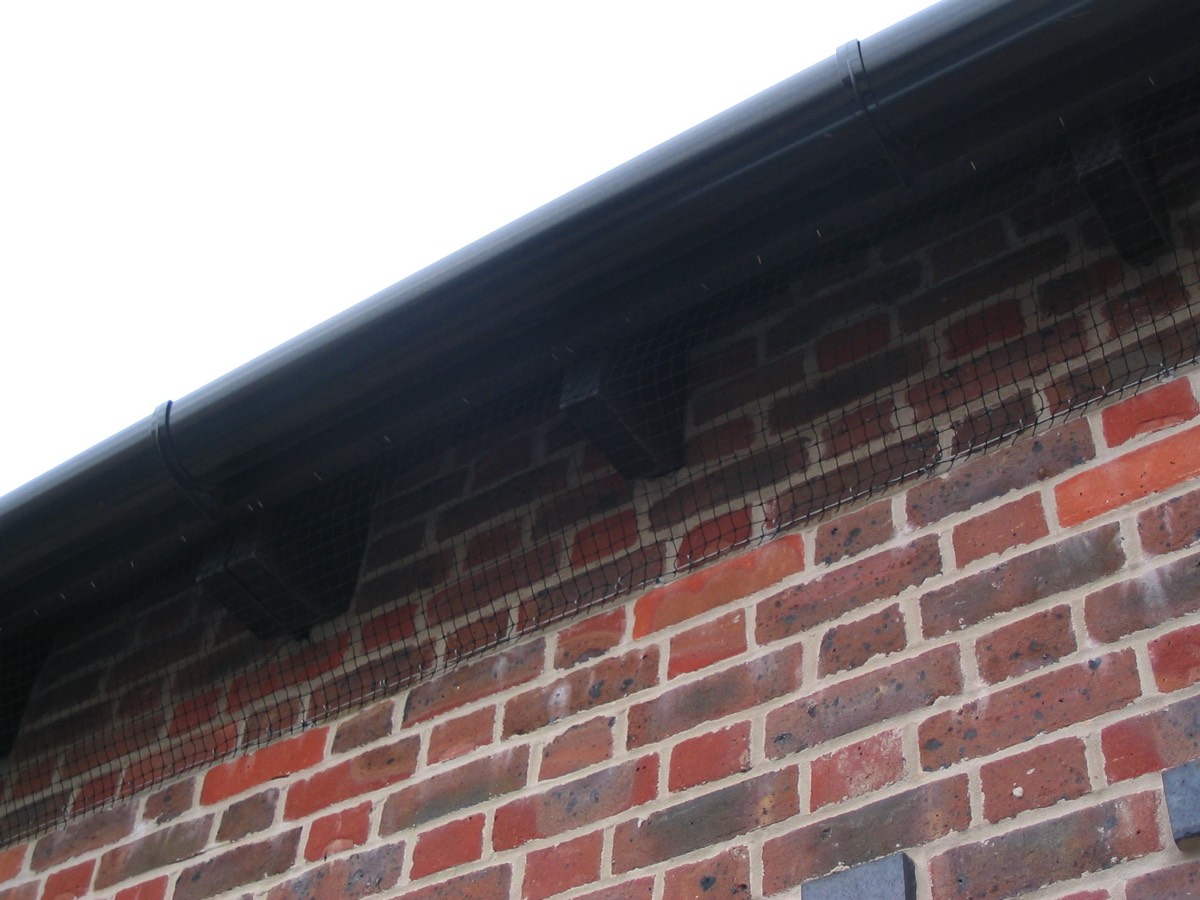 Once the housemartins had left their nests, netting was installed to the sections of eaves above the stable doors. Sections were left unproofed at the back of the stables to allow the martins to nest there and to allow bats access to the roofspace. 