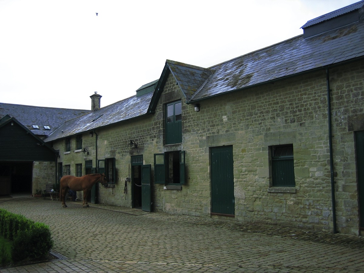 Housemartins had been nesting in the eaves of these stables in Wiltshire. Their droppings were proving to be a health hazard for the horses. 