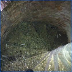 Pigeon fouling on a spiral staircase of a church