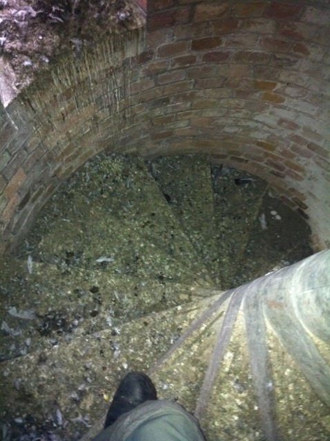 Pigeon fouling on a spiral staircase of a church