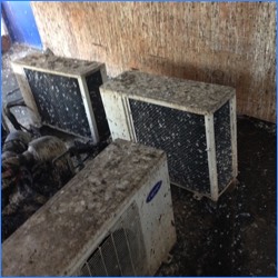 Pigeon fouling on air conditioning units at a hotel in London