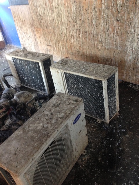 Pigeon fouling on air conditioning units at a hotel in London