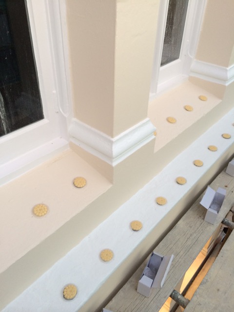 Bird Free Gel installed on a ledge at a retail store in Bournemouth