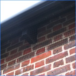 Netting to prevent housemartins from nesting in eaves.